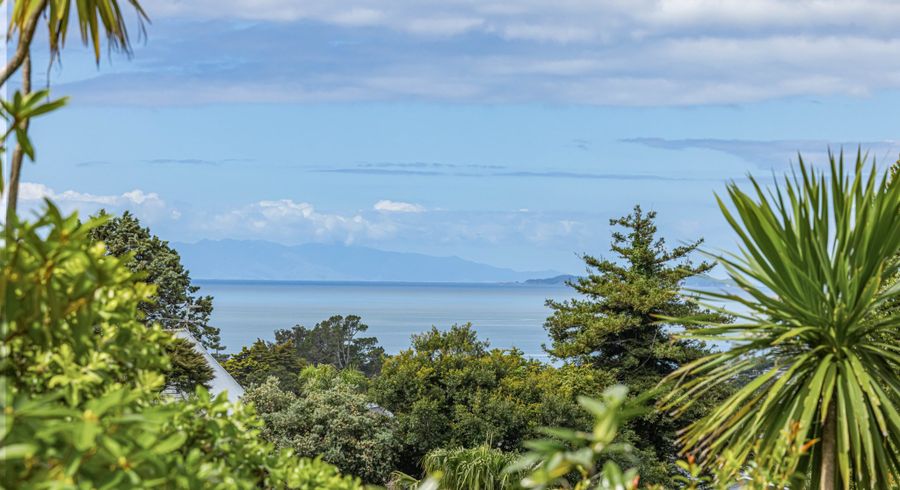  at 23 Coromandel Crescent, Mairangi Bay, Auckland