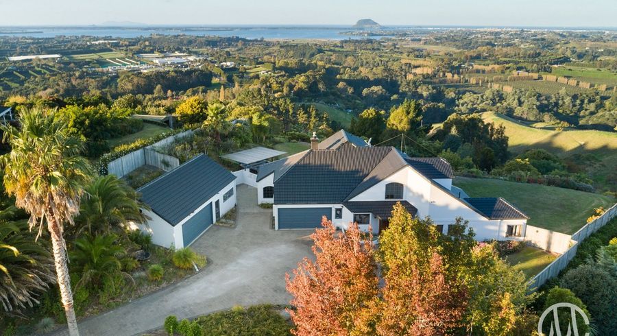  at 17 Dawn View Place, Tauranga