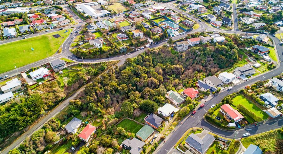  at 115 Dunrobin Street, Waverley, Dunedin, Otago