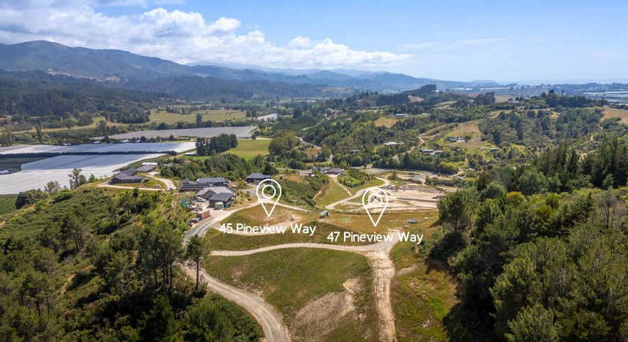  at 0 Pineview Way, Motueka, Motueka