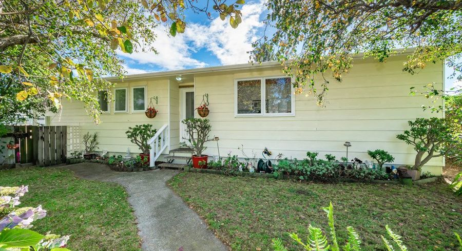  at 41 Arawhata Road, Paraparaumu, Kapiti Coast, Wellington