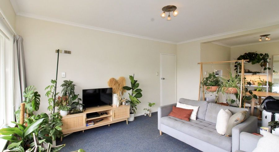  at 61B Mortimer Terrace, Brooklyn, Wellington
