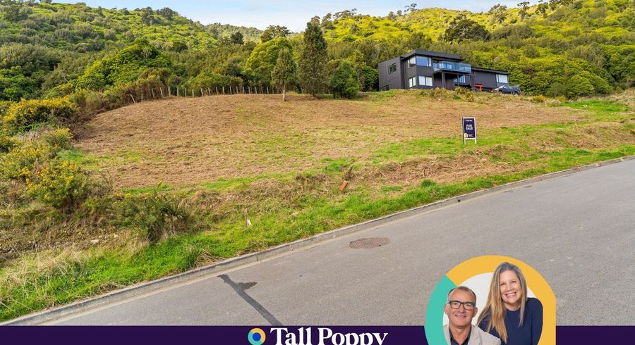  at 31 Wilson Way, Waikanae, Kapiti Coast, Wellington