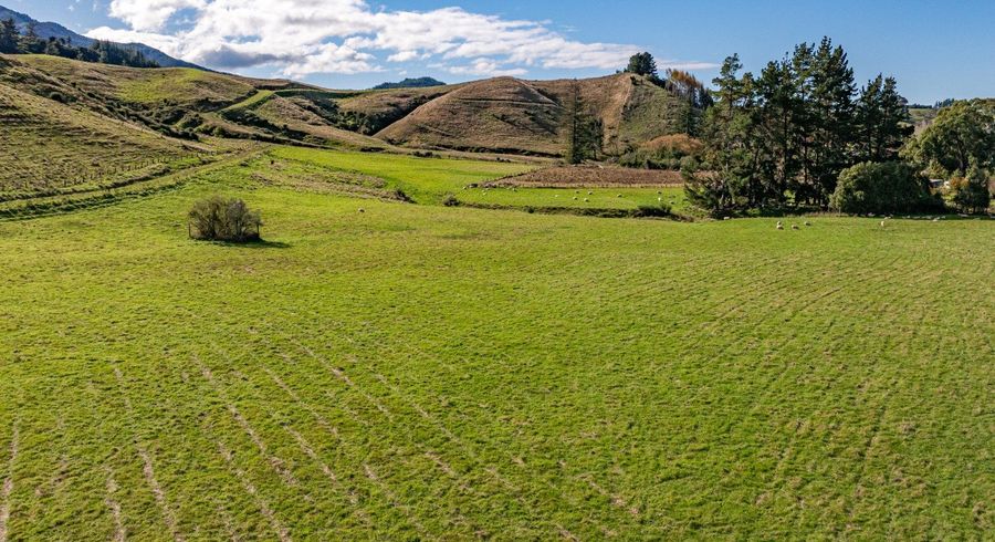  at 52 Little Pokororo Road, Tasman, Tasman, Nelson / Tasman