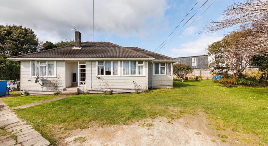  at 19 Mahoe Street, Levin, Levin