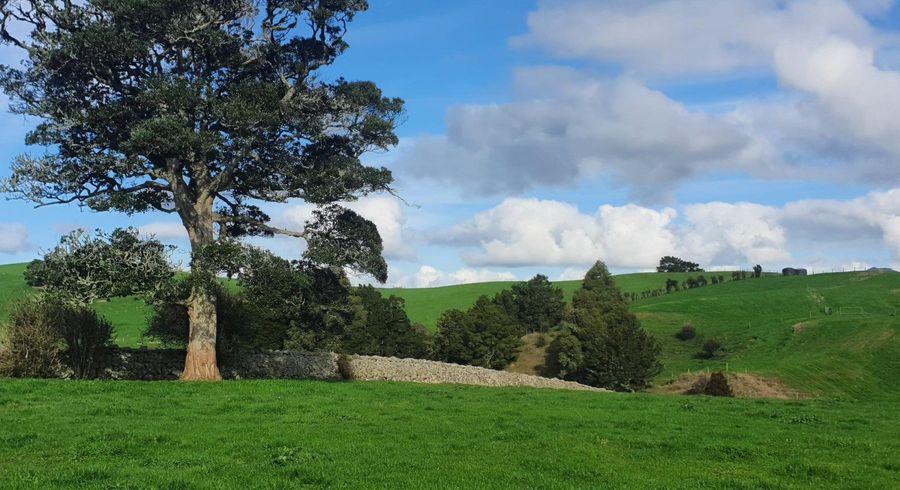  at 121 Springs Road, Whangarei