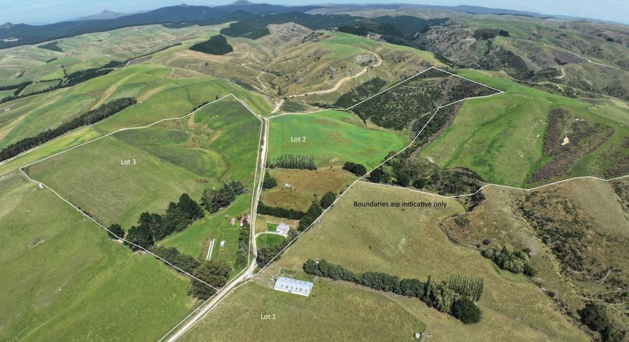  at 58 McElwee Road, Meadowbank, Palmerston, Waitaki, Otago