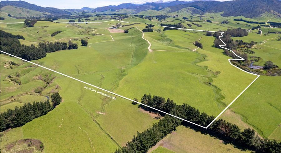  at 184 South Road No 2, Eketahuna, Tararua, Manawatu / Whanganui