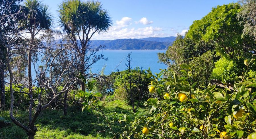  at 9 Tai Paku Paku Road, Karaka Bays, Wellington, Wellington