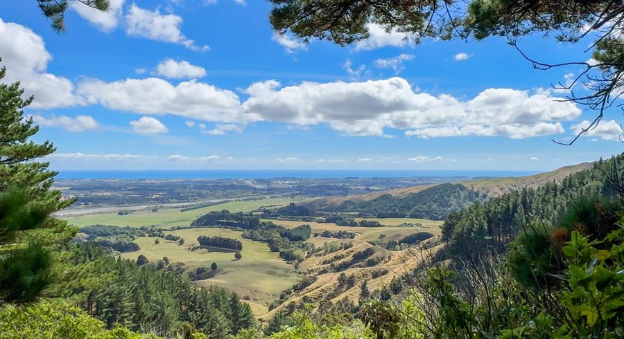  at 115 Kaitawa Road, Te Horo, Kapiti Coast, Wellington