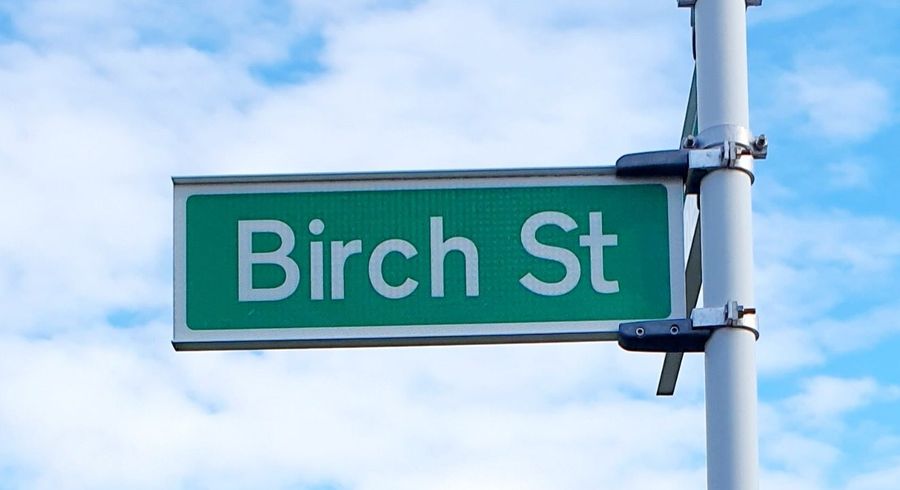  at 12 Birch Street, Waterloo, Lower Hutt, Wellington