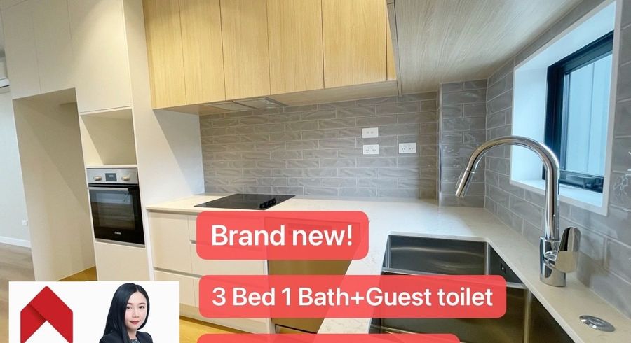  at 29 Tieke Lane, Westgate, Waitakere City, Auckland