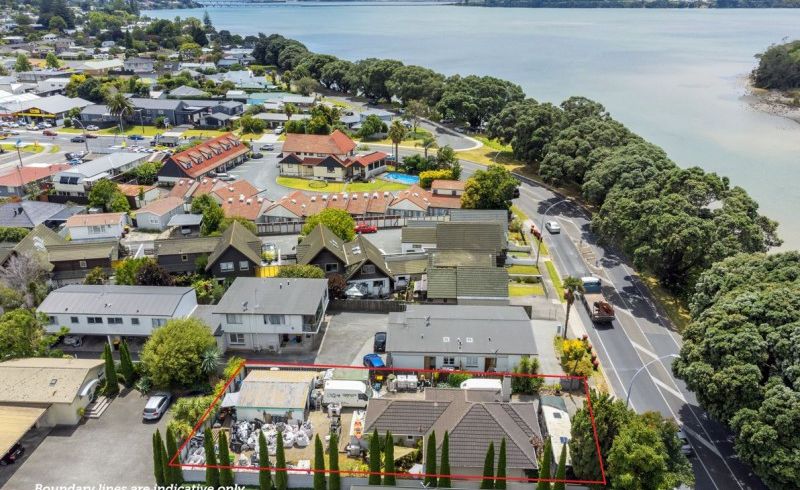 at 49 Turret Road, Tauranga South, Tauranga