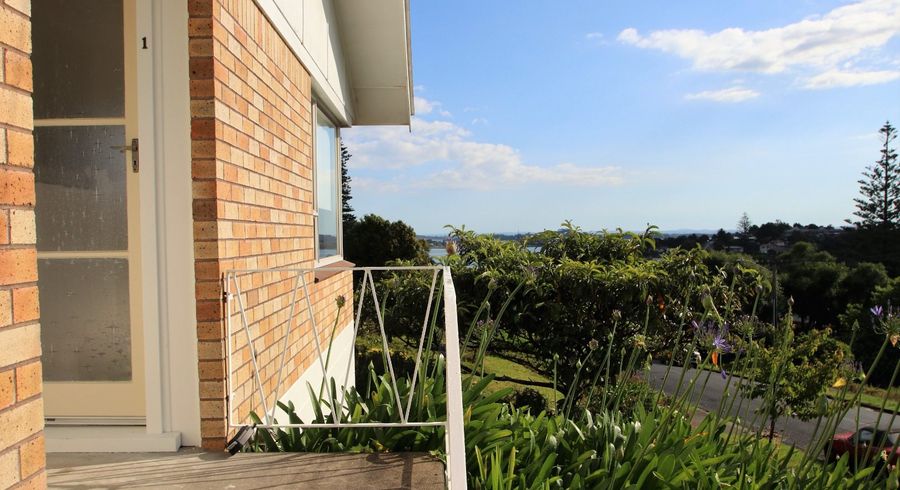  at 1/29 Symonds Street, Onehunga, Auckland City, Auckland