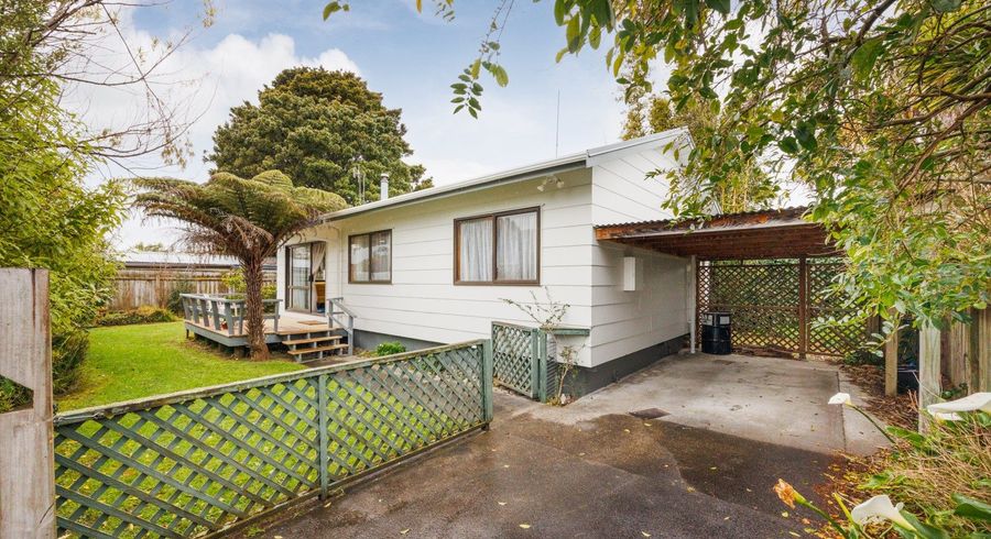  at 20C Frederick Street, Terrace End, Palmerston North, Manawatu / Whanganui