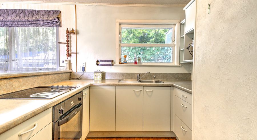  at 105 Rimu Street, Maeroa, Hamilton, Waikato