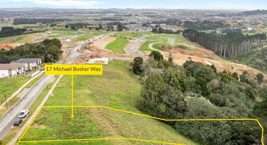  at 17 Michael Bosher Way, Flat Bush, Auckland