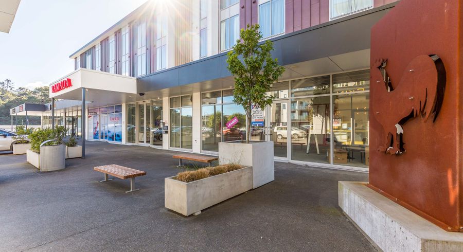  at 203/9 Kaipiho Lane, Albany, North Shore City, Auckland