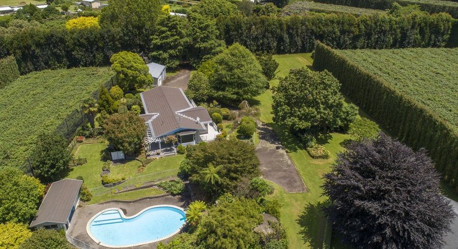  at A/205 Wairoa Road, Tauranga