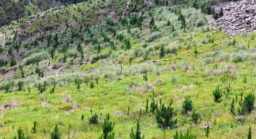  at Lot 8/47 Kamea Place, Maungaturoto, Kaipara, Northland