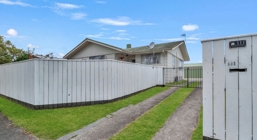  at 111 Apollo Parade, Milson, Palmerston North, Manawatu / Whanganui