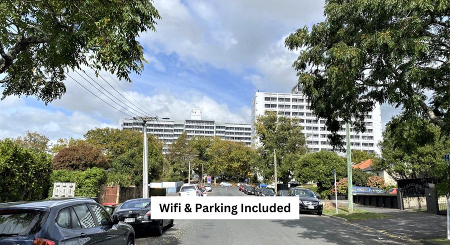  at 11D Horne Street, Hamilton City Central, Hamilton, Waikato