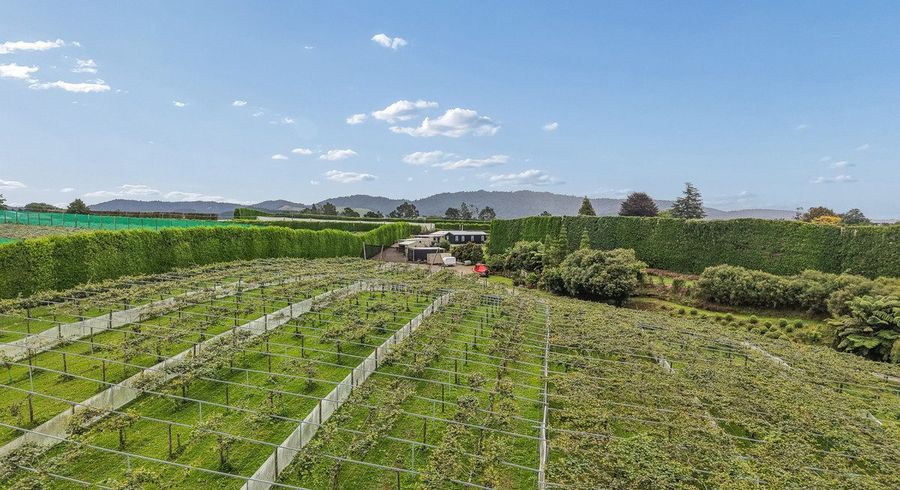  at 447 No2 Road, Te Puke, Western Bay Of Plenty, Bay Of Plenty