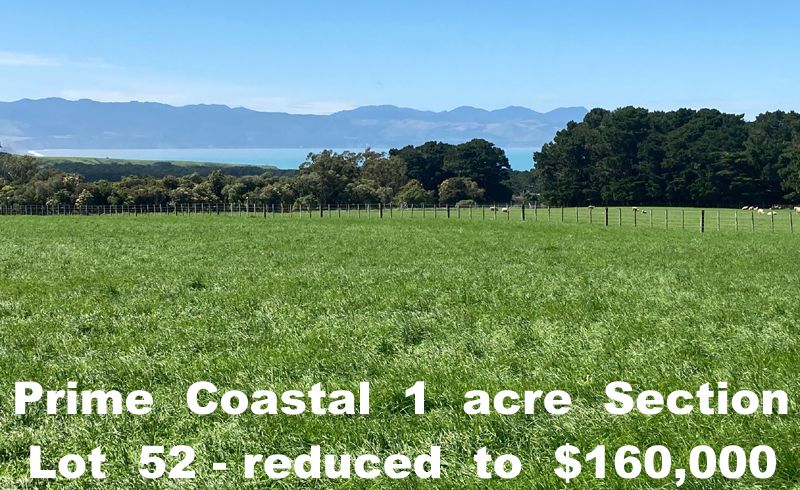  at 52 Western Lake Road, Western Lake, Featherston