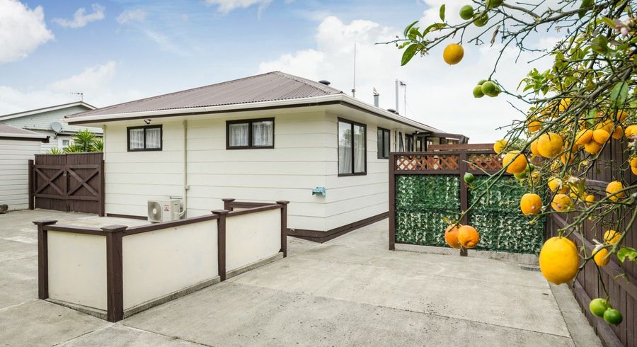  at 45 Chatsworth Place, Highbury, Palmerston North