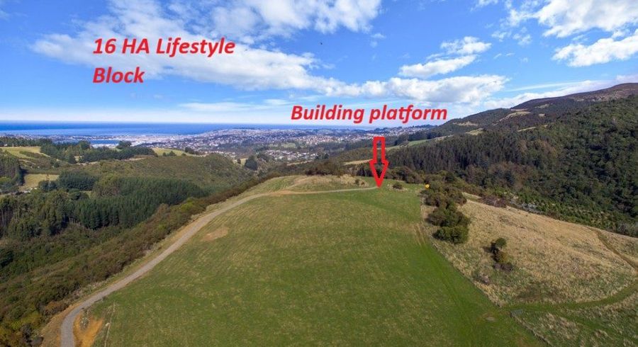  at Leith Valley, Dunedin, Otago