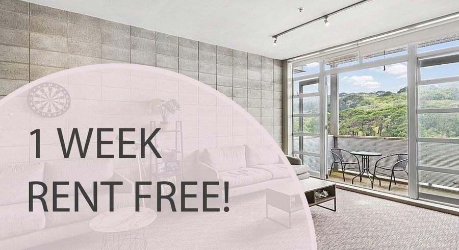  at 302/20 Hanson Street, Mount Cook, Wellington, Wellington