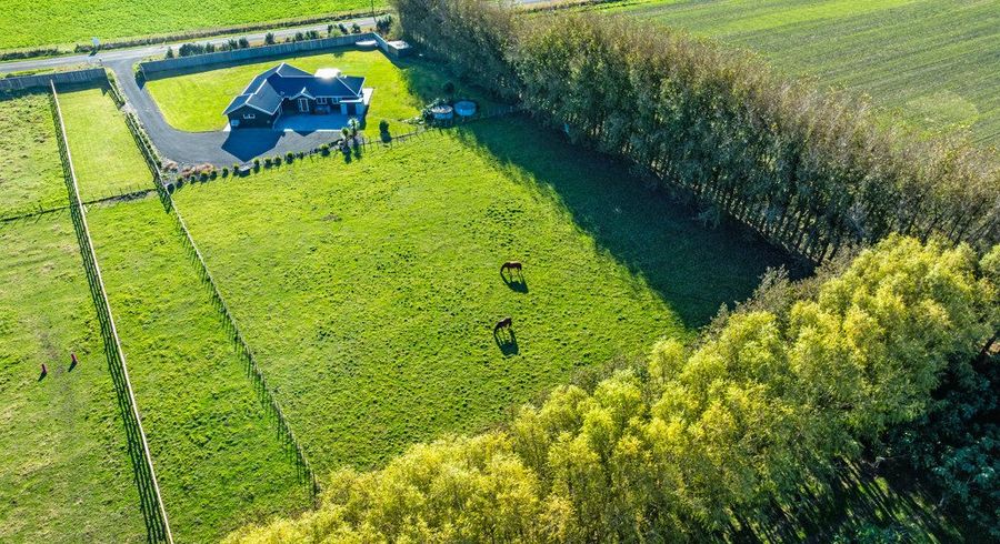  at 985 Parewanui Road, Bulls, Rangitikei, Manawatu / Whanganui