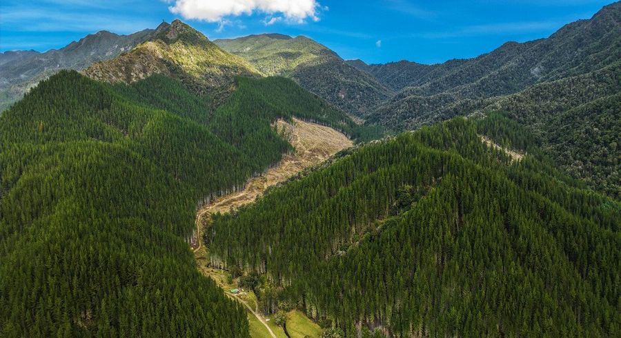  at Mangles Valley Road, Murchison, Tasman, Nelson / Tasman