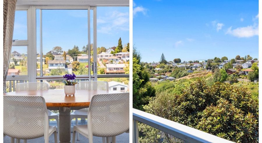  at 46a Greerton Road, Gate Pa, Tauranga, Bay Of Plenty