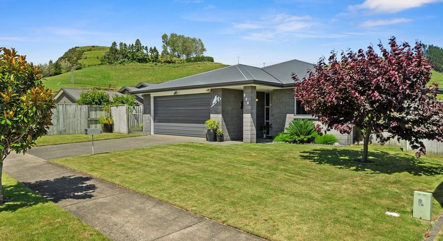  at 228 Ballintoy Park Drive, Welcome Bay, Tauranga