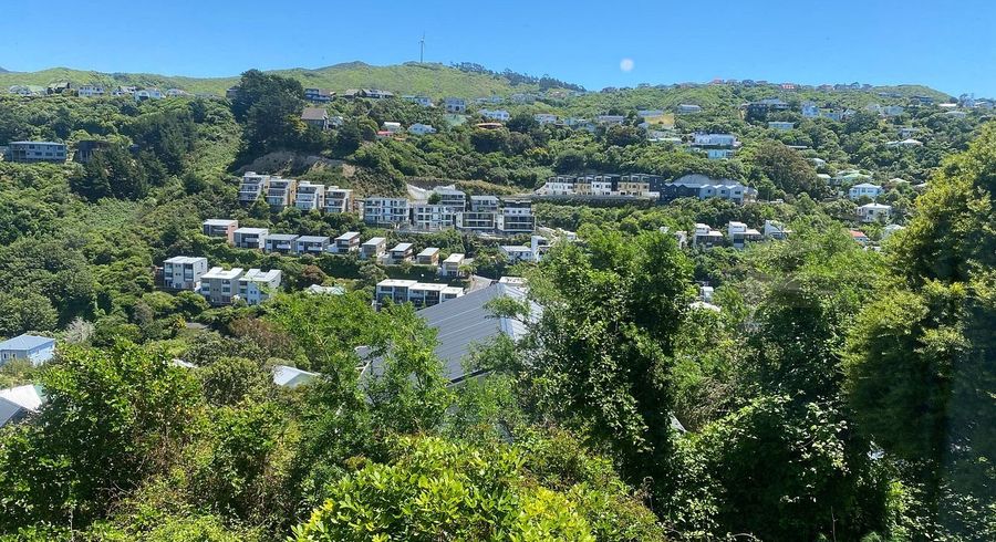  at 1/12A Harland Street, Brooklyn, Wellington, Wellington