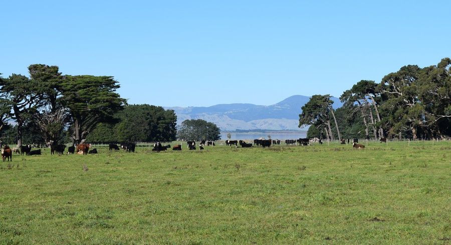  at 523 Western Lake Road, Western Lake, Featherston