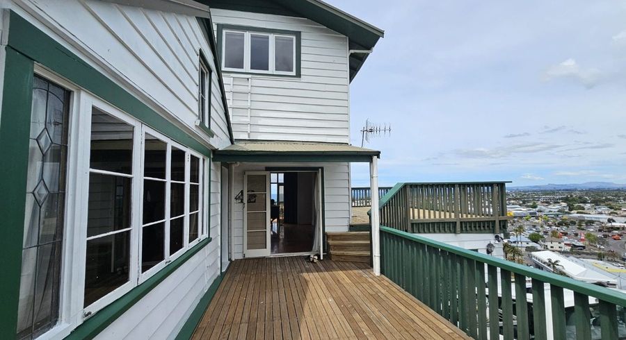  at 42 Cameron Road, Bluff Hill, Napier, Hawke's Bay