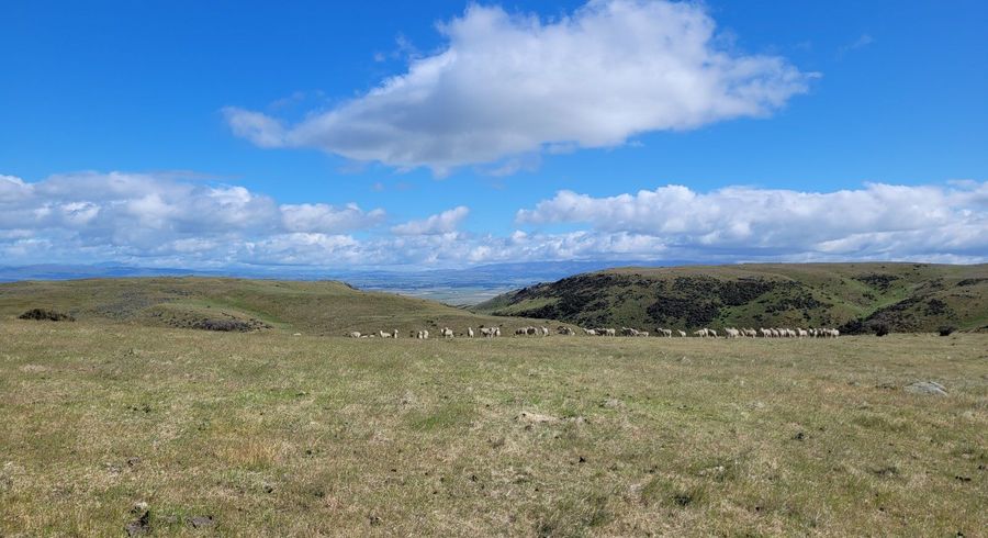  at 0 Kyeburn Diggings Road, Kyeburn Diggings, Kyeburn