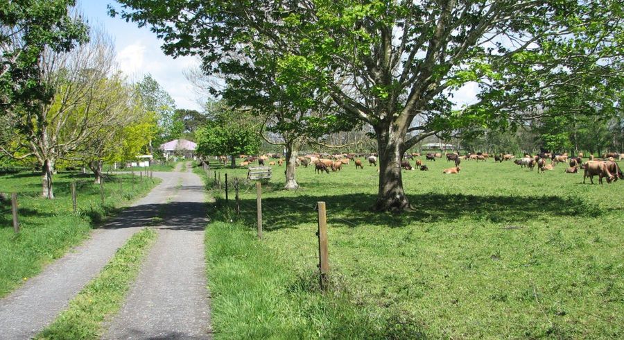  at 1704 Te Aroha-Gordon Road, Te Aroha, Matamata-Piako, Waikato