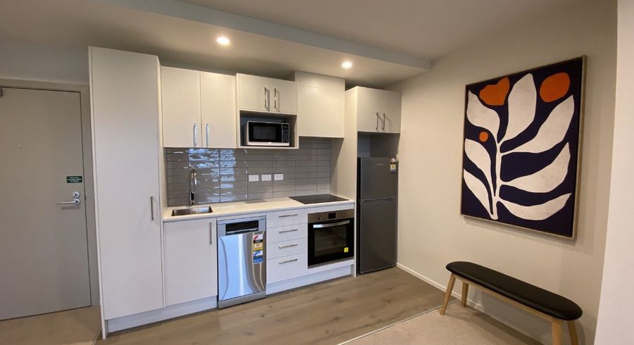  at 402/16 Mountain Ash Drive, Frankton, Queenstown-Lakes, Otago