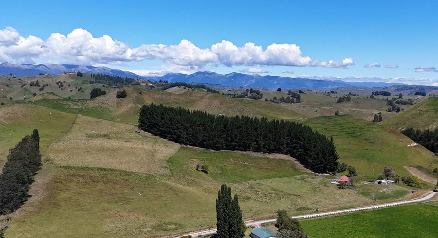  at 166 and 179 Mangapapa Road, Taihape, Rangitikei, Manawatu / Whanganui