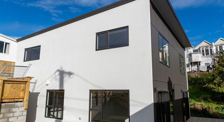  at 18 Peter Street, Caversham, Dunedin, Otago