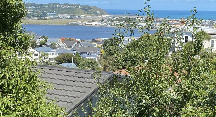  at 17 Rakau Road, Hataitai, Wellington, Wellington