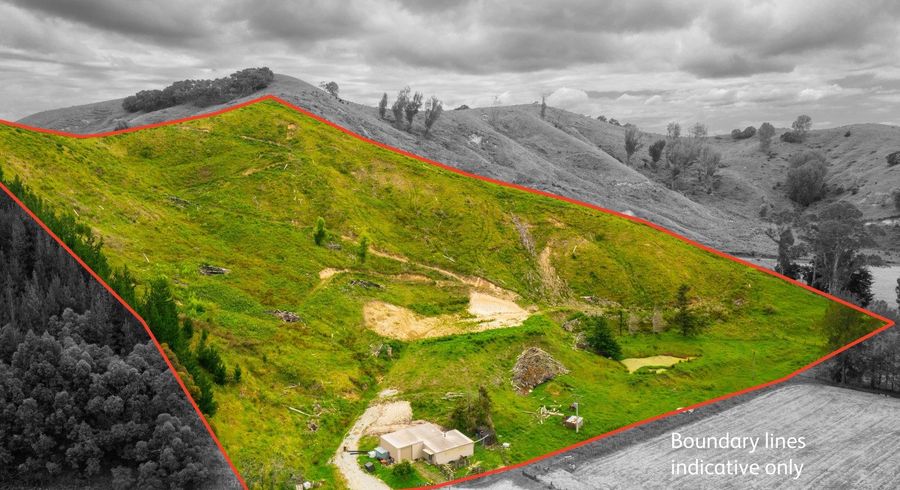  at 162 Lake Road, Waituhi, Gisborne
