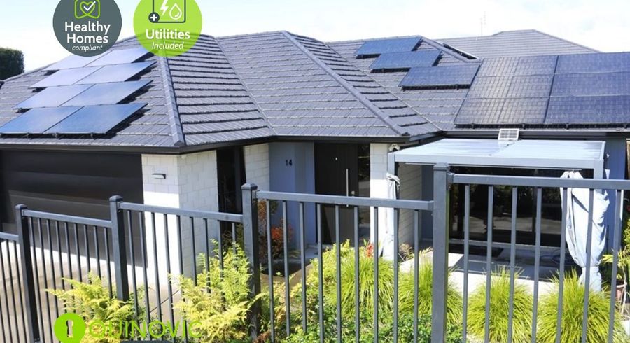  at Sam Heywood Place, Pyes Pa, Tauranga, Bay Of Plenty