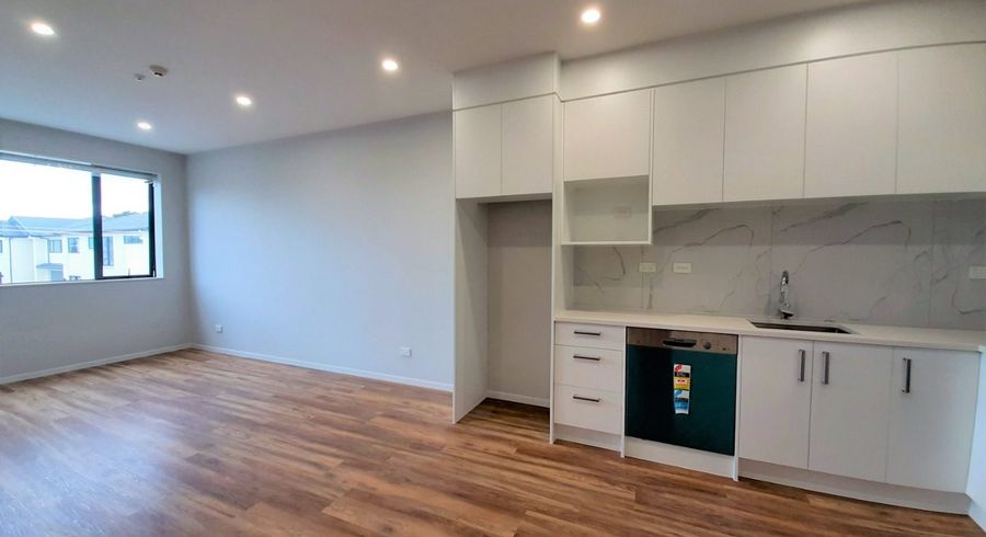  at 105/98 Haverstock Road , Sandringham, Auckland City, Auckland