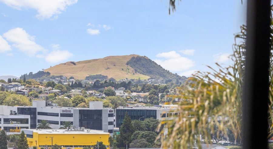  at 41b Konini Road, Greenlane, Auckland City, Auckland