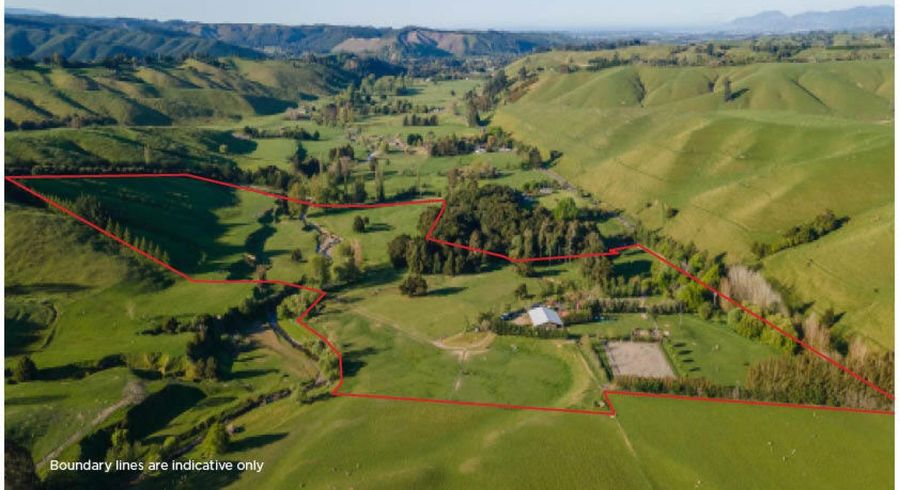  at 356 Eighty Eight Valley Road, Eighty Eight Valley