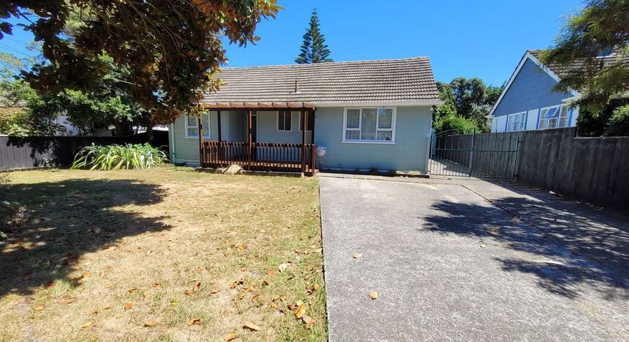  at 193 Oxford Terrace, Avalon, Lower Hutt